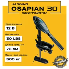 Электромотор Haswing Osa...