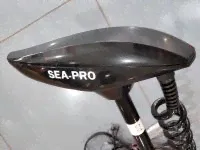 Электромотор SEA-PRO 65L GPS + площадка