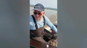 сиа про 9.8.. класс