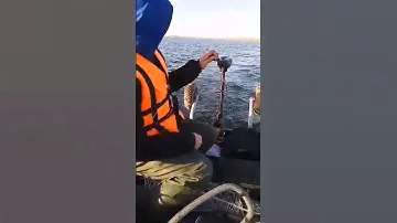 ЧТО МОЖЕТ ЭЛЕКТРОМОТОР. HDX 40L. ЭЛЕКТРОМОТОР. ЛОДКА "РИВЬЕРА 3600". 4 СКОРОСТЬ.