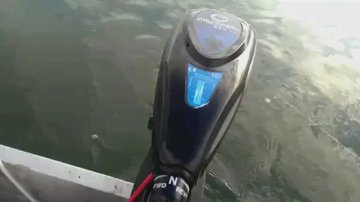 Flover 33 s Trolling Motor   Aussenborder  Full Speed   Volle geschwindigkeit ca  5 4 Km h