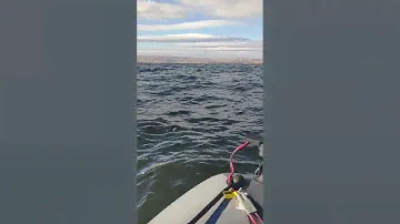 Электромотор Haswing Cayman B 55 lbs GPS Показания потребления тока